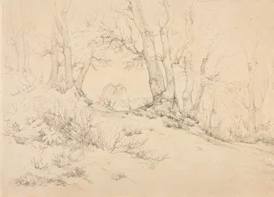 Sentier en forêt de montagne à Castellamare by Jacques-Raymond Brascassat, 1828 — digital art print download