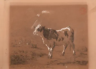 Vache by Жак-Раймон Брассас — digital art print download