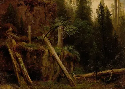 Этюд ландшафта с гниющими деревьями by Август Каппелен, 1851 — digital art print download