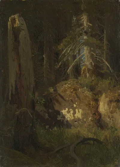 Исследование пейзажа с гниющими деревьями by Август Каппелен, 1851 — digital art print download
