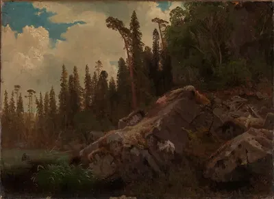Исследование пейзажа с деревьями и камнями by Август Каппелен, 1851 — digital art print download