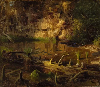 Study of a fallen Tree by August Cappelen, 1851 — digital art print download