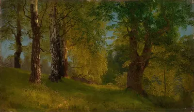 Этюд леса by Август Каппелен, 1848 — digital art print download