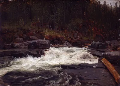 Водопад в Телемарке, этюд для инв. № 427 by Август Каппелен, 1852 — digital art print download