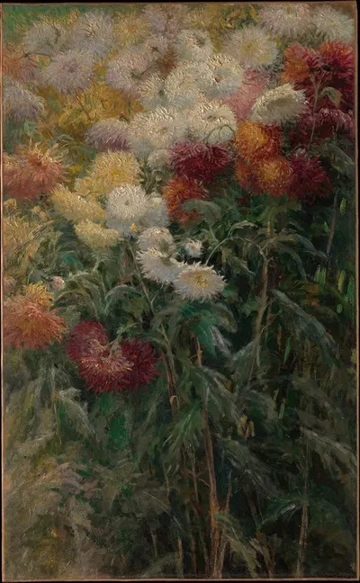 Chrysanthemums in the Garden at Petit-Gennevilliers by Гюстав Каййботт, 1893 — digital art print download