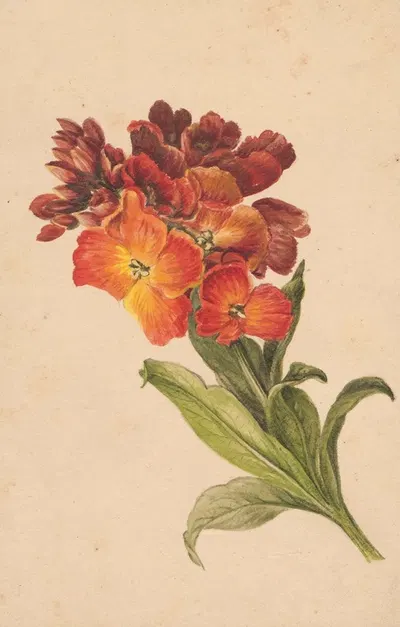 Gałązka laku by Henryka Beyer, 1810 — digital art print download