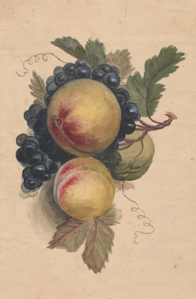 Peaches and grapes by Henryka Beyer, 1800 — digital art print download