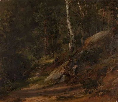 Лесное исследование из Ромсдала by Томас Фернли, 1836 — digital art print download
