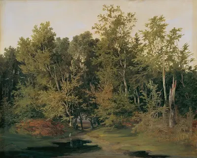 Лесной пейзаж в Нижней Австрии by Антон Альтман младший, 1850 — digital art print download