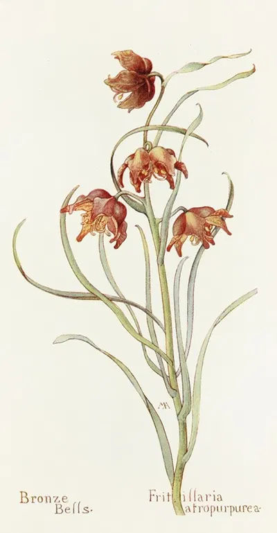 Bronze Bells by Margaret Armstrong, 1915 — digital art print download