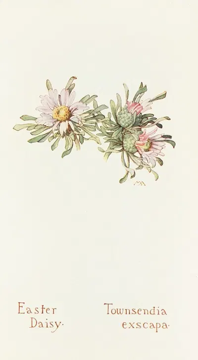 Easter Daisy by Margaret Armstrong, 1915 — digital art print download
