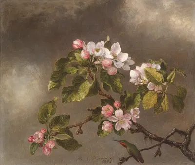 Hummingbird and Apple Blossoms by Мартин Джонсон Хид, 1875 — digital art print download