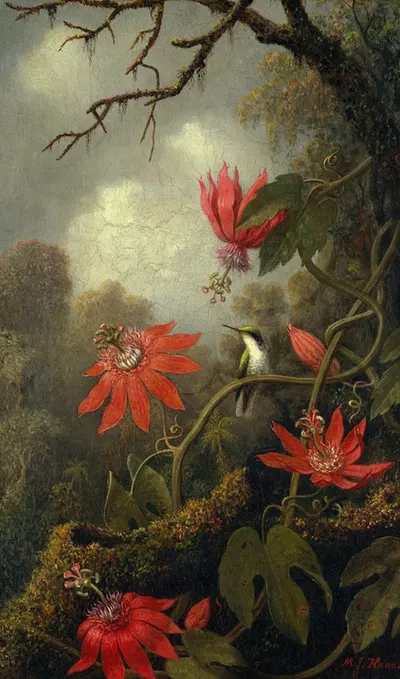 Hummingbird and Passionflowers by Мартин Джонсон Хид — digital art print download