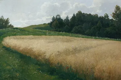 Поле овса by Адольф Кауфман, 1906 — digital art print download