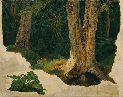 Baumstudie by Ferdinand Georg Waldmüller — digital art print download