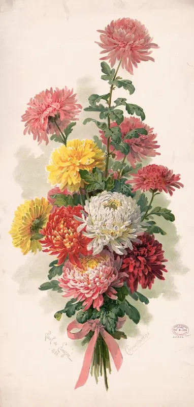 Chrysanthemums by Paul de Longpre, 1895 — digital art print download