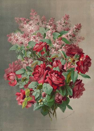 Purple hues and blushes rare by Raoul M. De Longpré, 1896 — digital art print download