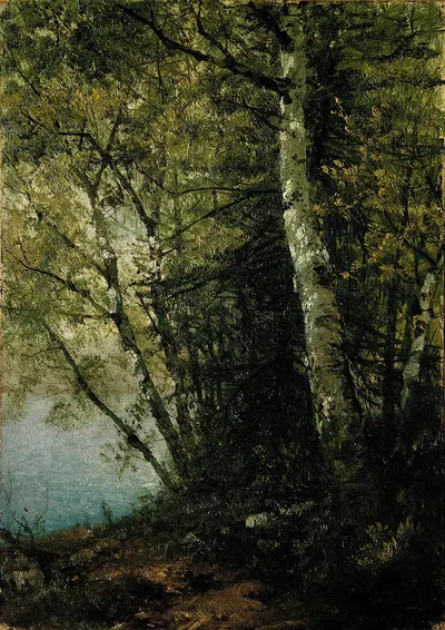 Study of Beeches by John Frederick Kensett, 1872 — digital art print download