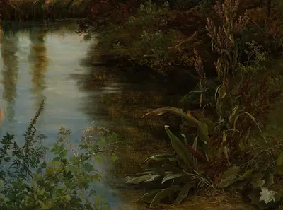 Этюд воды и растений by Томас Фернли, 1837 — digital art print download