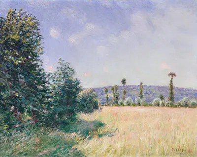 Sahurs Meadows in Morning Sun by Alfred Sisley, 1894 — digital art print download