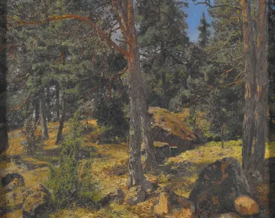 A Fir Bank by Gottfrid Samuel Nickolaus Kallsteniüs — digital art print download