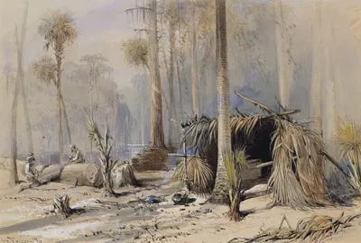 Двор с кипарисовыми черепицами, река Оклаваха, Флорида by Гарри Фенн, 1870 — digital art print download