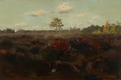 Bog in Lapland by Torsten Wasastjerna, 1892 — digital art print download