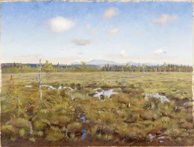 Landscape from Lapland by Torsten Wasastjerna, 1892 — digital art print download