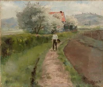 Montmorencysta by Torsten Wasastjerna, 1890 — digital art print download