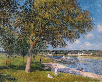 Un Noyer Dans La Prairie De Thomery by Alfred Sisley, 1880 — digital art print download