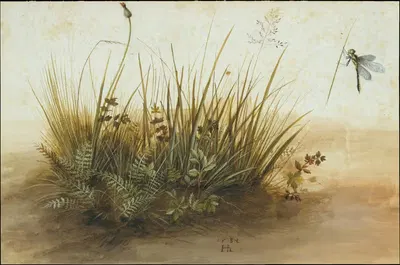 Маленький кусочек дерна by Ганс Хофман, 1584 — digital art print download