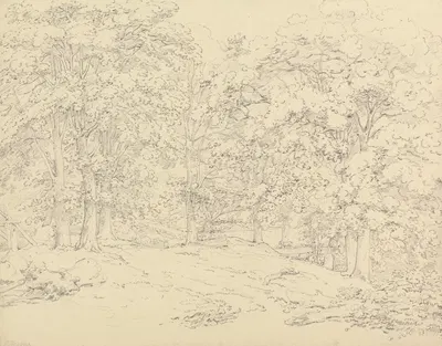 Trees in Ashtead Park, Surrey by Thomas Hearne — digital art print download