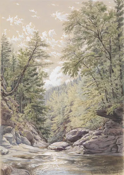 Клёв Кэтскил в Пэлингсвилле by Уильям Рикарби Миллер, 1856 — digital art print download