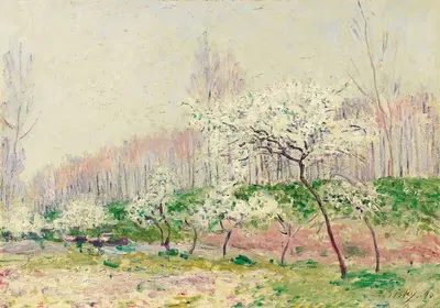 Les Pommiers En Fleurs by Alfred Sisley, 1890 — digital art print download