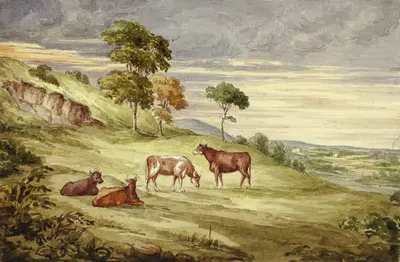 Оленья ферма, возможно, Килкенни by Элизабета Мюррей, 1843 — digital art print download