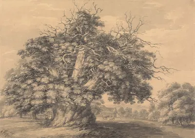 The Chestnut Tree at Little Wymondley, Hertfordshire by Thomas Hearne — digital art print download