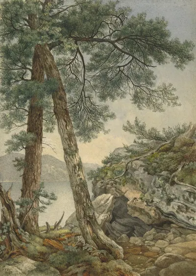 Сквозь деревья by Фредерик Фрэнк Дюран, 1865 — digital art print download