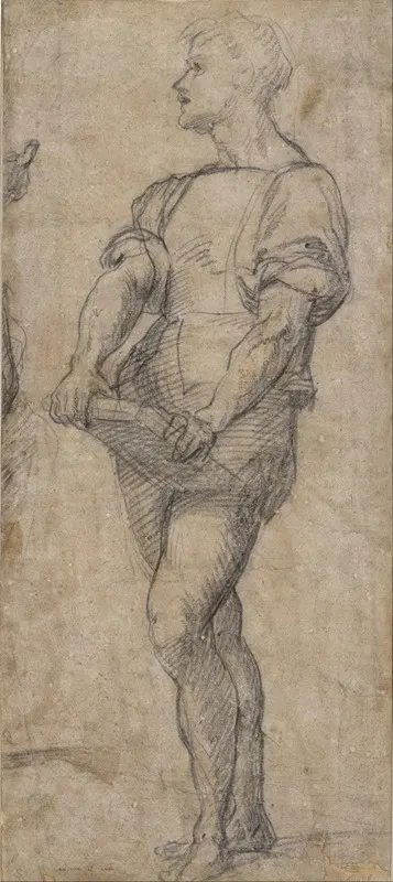 Standing youth holding a book by Андреа дель Сарто — digital art print download