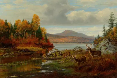Поздняя осень, озеро Лонг, округ Гамильтон, Нью-Йорк, Адирондак by Артур Фицвильям Тейт, 1881 — digital art print download