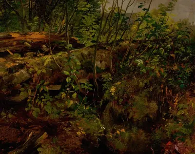 Эскиз с натуры by Артур Фицвильям Тейт, 1869 — digital art print download