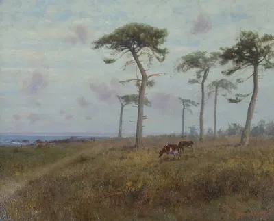 Скоты пасутся среди монтерейских кипарисов by Чарльз Дорман Робинсон, 1909 — digital art print download