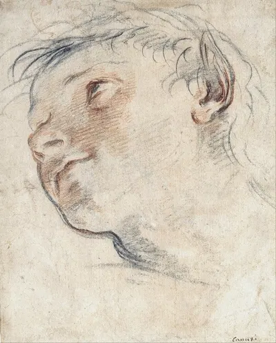 Study for the Head of a Faun by Domenico Maria Canuti, 1635 — digital art print download