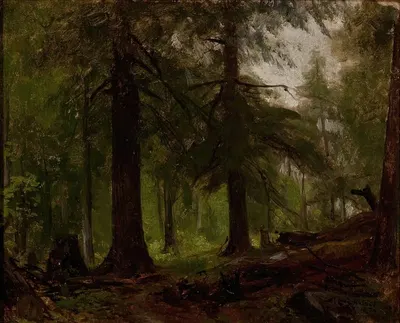 Forest Interior by George Hetzel, 1876 — digital art print download