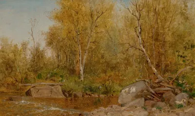 Sandy Stream, Maine Woods by Jervis McEntee, 1881 — digital art print download