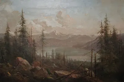 A Mountain Landscape with a Fallen Tree in the Foreground by Juan Buckingham Wandesforde — digital art print download