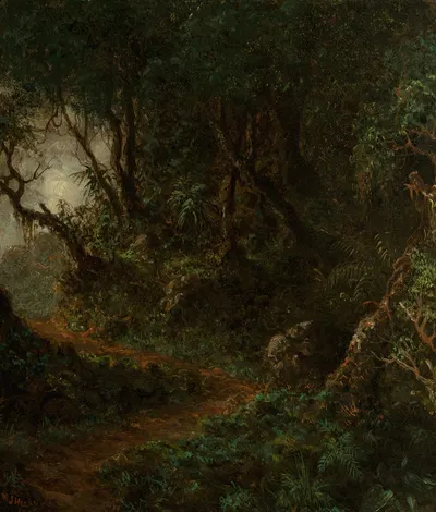 Тропическая зелень (Тропический пейзаж) by Мартин Джонсон Хид, 1875 — digital art print download