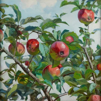 Apples by Амброший Сабатовский, 1917 — digital art print download