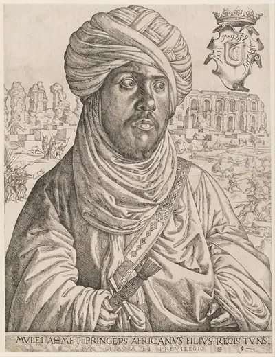 Portrait of Mulay Ahmad by Ян Корнелисз Вермеен — digital art print download