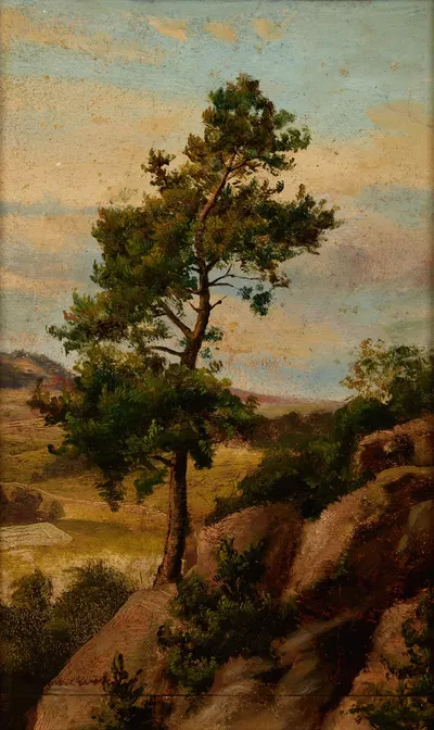Сосна каменная by Генрик Грабиньский, 1870 — digital art print download
