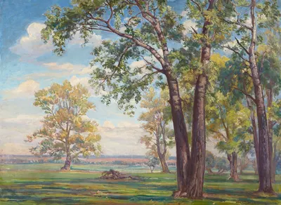 Forest Landscape by Ignacy Pieńkowski — digital art print download